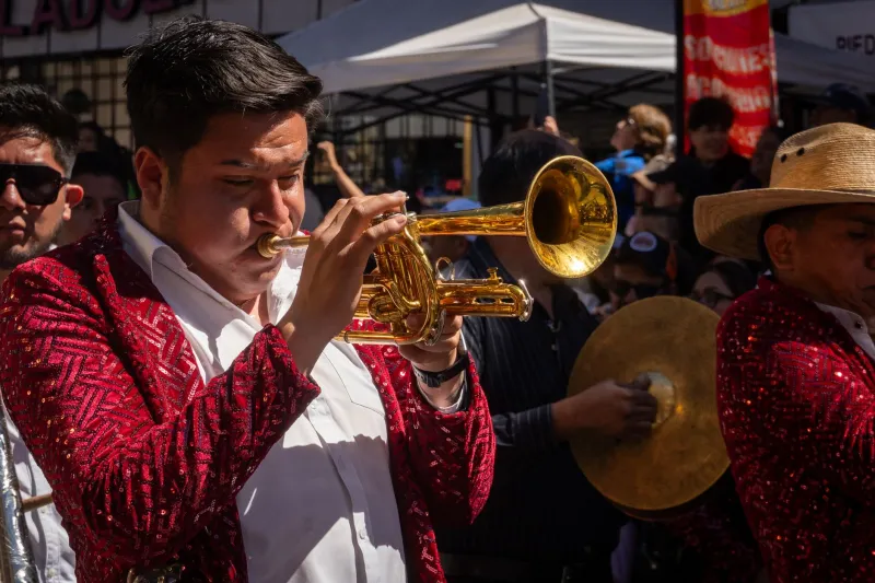 What Your Ears Are Actually Hearing: A Fun Breakdown of Latin Music's Biggest Genres